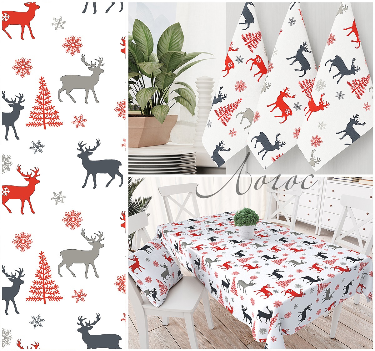 ���� �� 19.11. ��� � �������. ����� ��� ���� � ��� ����, ������� ���������.