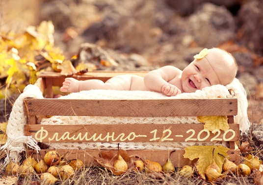 ���� �� 10 ������� 2020.������� �� ��. ���� �� 20�.