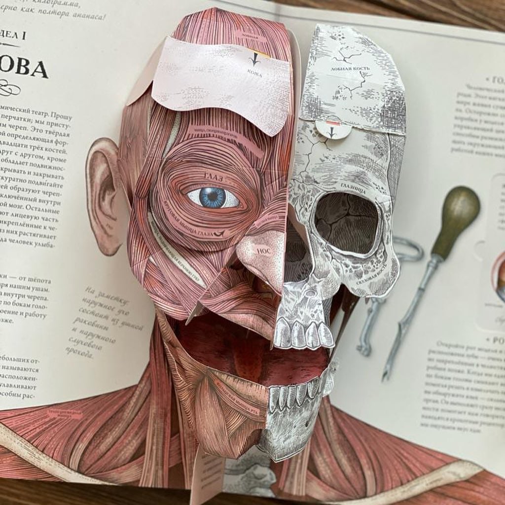 �� ������, ��� �������� �� ����� ���? ��������� � �����).  ���� ��������. ������������� �����-�������� � 50% �������. ����� ����� � ������