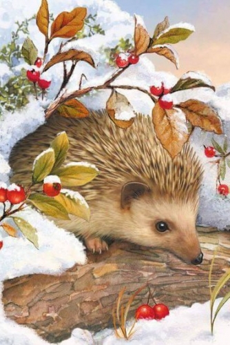 ������ �� �� �������� �������! ����� ��������