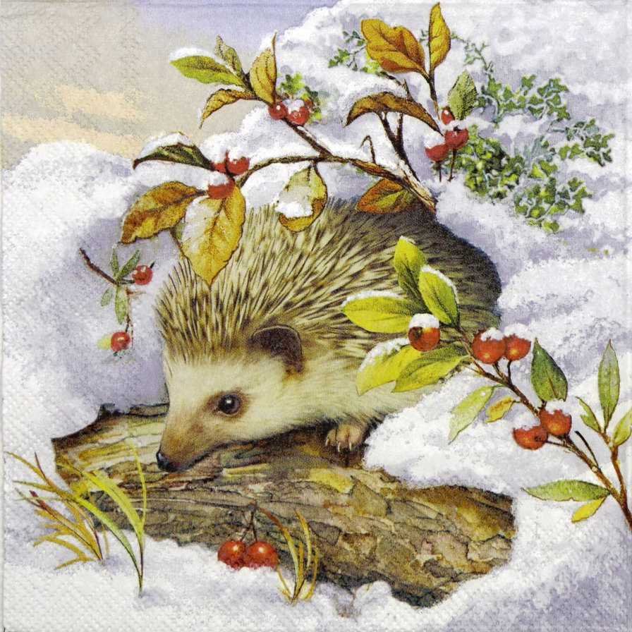 ������ �� �� �������� �������! ����� ��������!