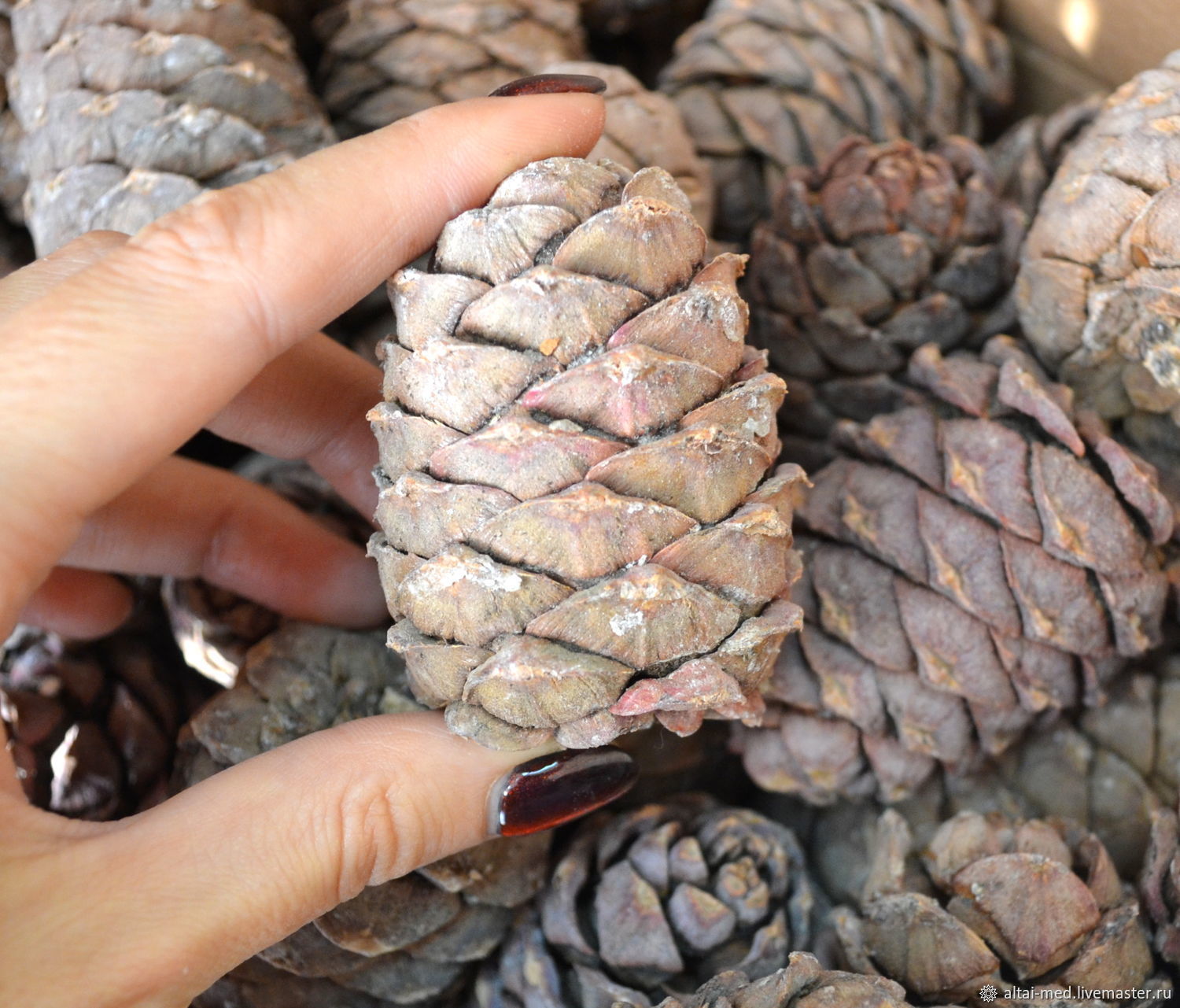 ����� �������� ����� 15 ���!!! 1�� �������� ������ 1200���.  ����� �������� � ������� 5%. ������� �� �������� ����� �����  260��= 150���.