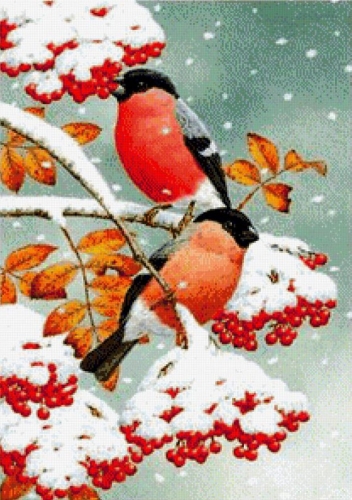 ����������� ������� - ������ ���� �������! 