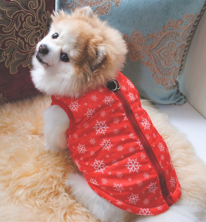 ����������! ������ ��� �������� �� 230���!