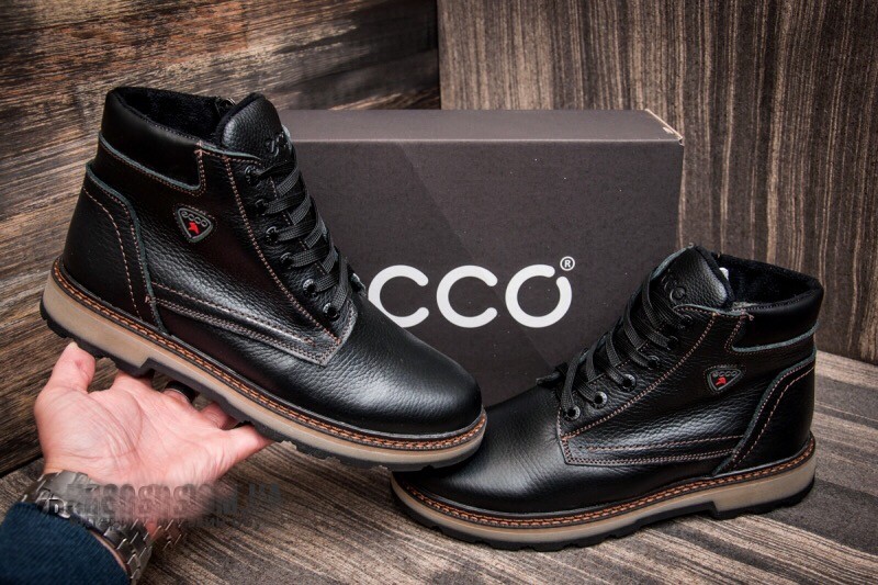 ����� � ������� ������. � ������� �� ���������. ����� 600 �����. ���� �������!