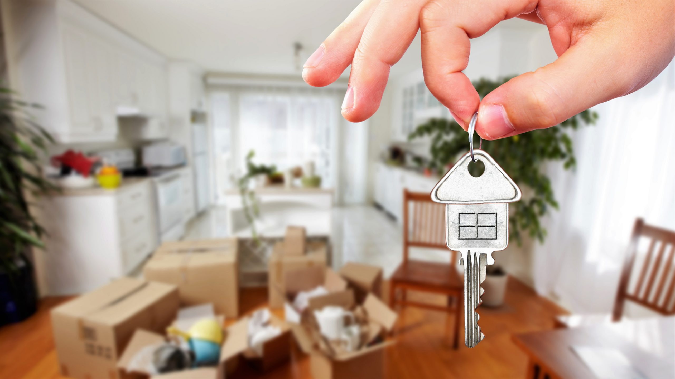 ���-���� �� �������������� ������� ��������