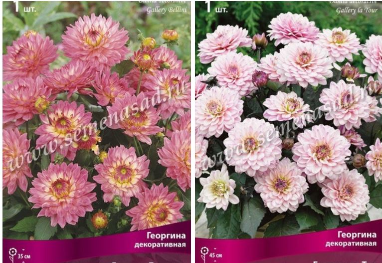 �������� ����� ������� - �� ����� �� ��������� ������ (30-40��) � �������������� ��������� � ��������� ������������ � ������ ����������!