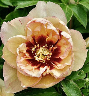 ���� ������� �� 10.12. ��������� ������ - �����������, ��� � ��. ��������� �� ����� 2021 ����!