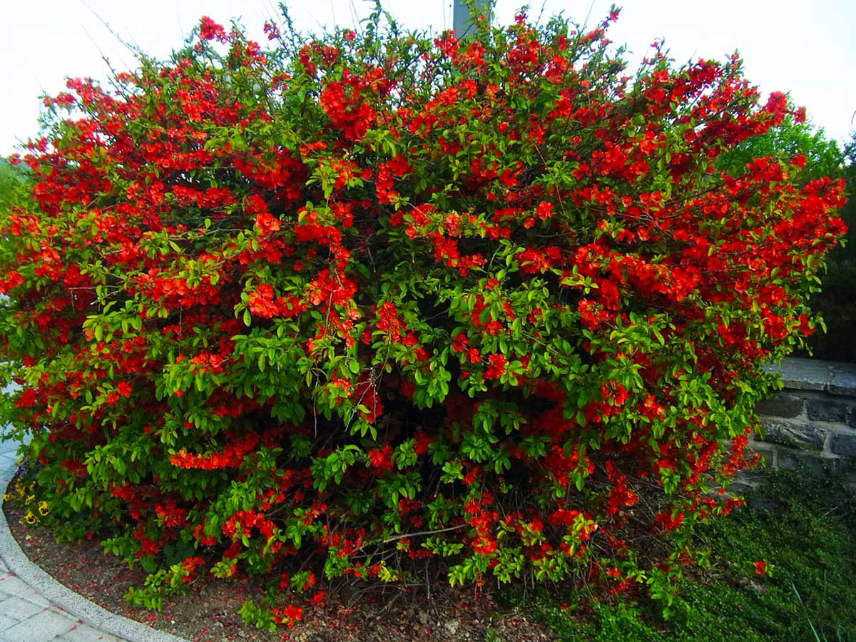 ���� ������������ - ��� ������ ������������� ����!!!  - ������������� �������;) 