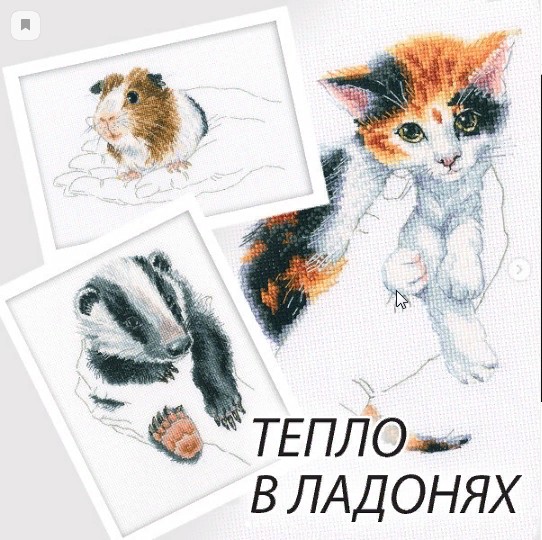 ���� �� 06.12. R�0-37. ������ ��� ��������� ������� ������� ��������������. ���������� ������� ��� ���������.