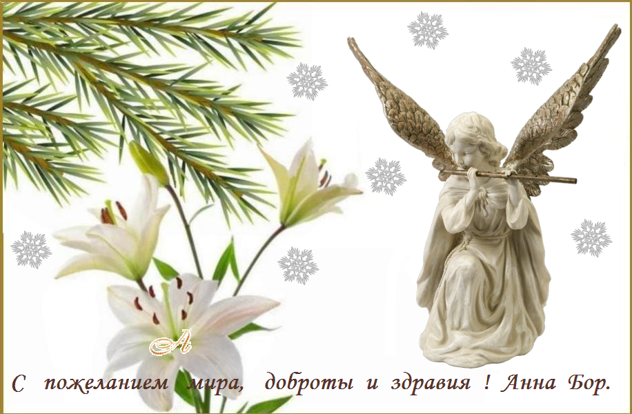 �������������     ���������������      ����� !