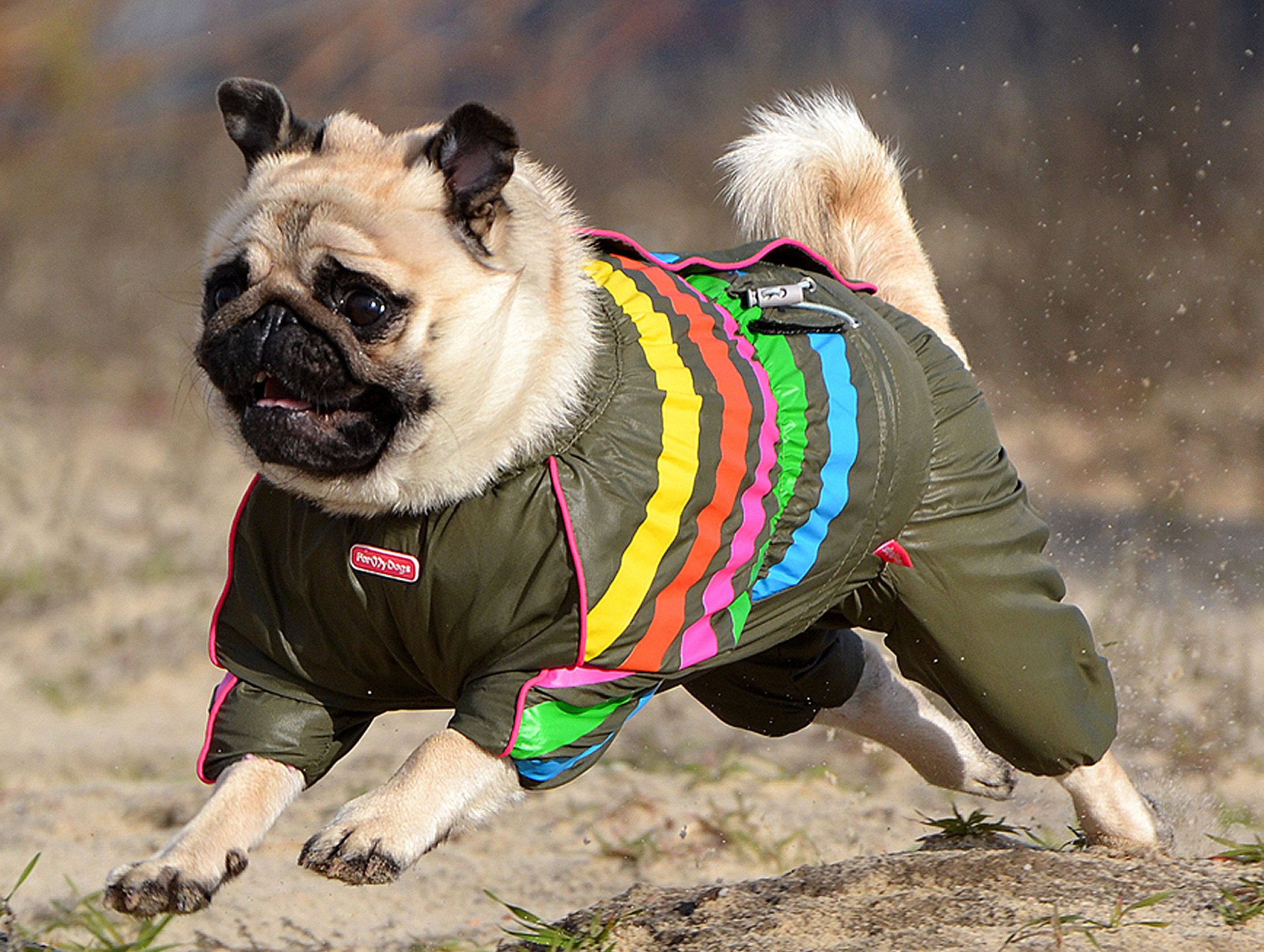 ���� �� 10.12. ����� ������� ������, ����� � ���������� ��� �����. ��� ����� �������� - ������ ������. ���� ����������.