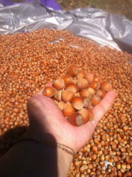 ������ ��������� ����. ������ ����! ������,���������� ����, ������� ����, �����, � ���� �� ����.��������� ����������, ��������� �����.