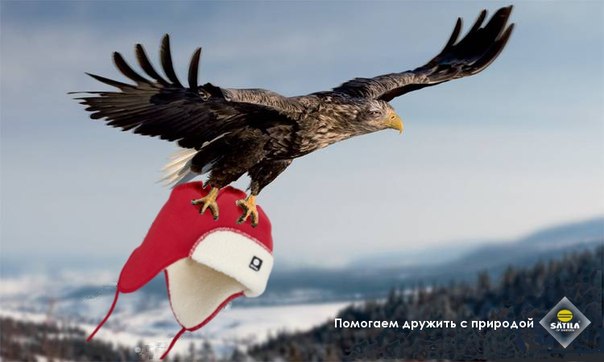 ������������ Satila of Sweden! ����� ��������)