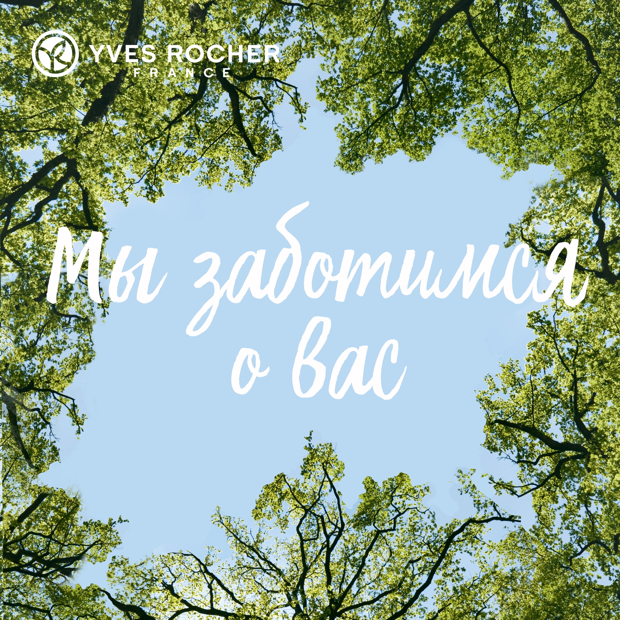 ������ �� 70% + ������� � ������! �� Y*v*e*s - R*o*c*h*e*r (�� �0��) - ��� ��� ����� �������! ������� �� 150 ���., ��������� ����� � ������ �� 299 ���.