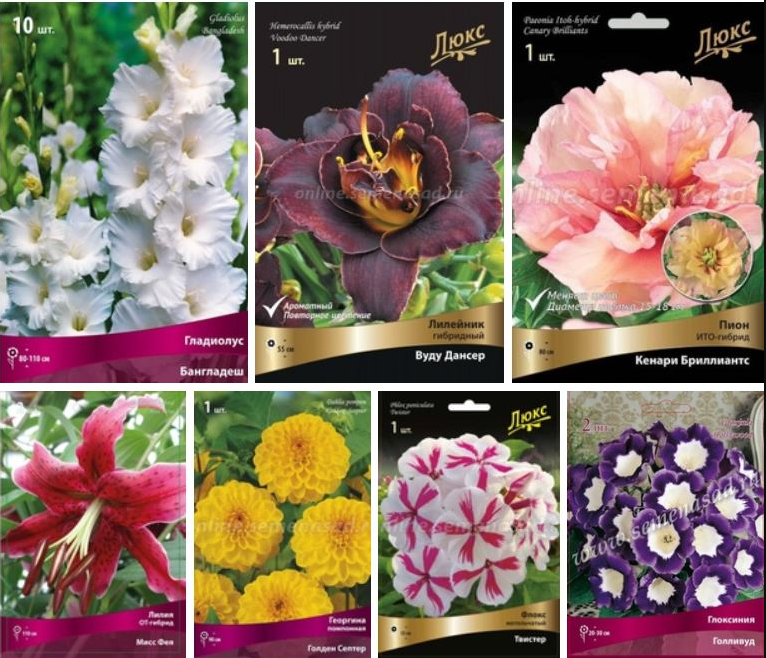 ����������! ��������� �� ����� 2021/2! ����������, �����, ������������! ������ ����������� ����� � ������� �������� �� ������ ����������� ����� �� ��*�*��. ���������� ����������!