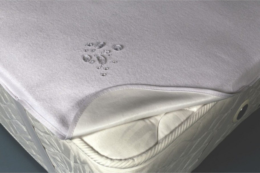 [b]���� ������� �� 21.12. ������������� ������������ � � � � � �������� �� ����� �� ������� � � �������. ��������� � ����������� ��������!!![/b][b]