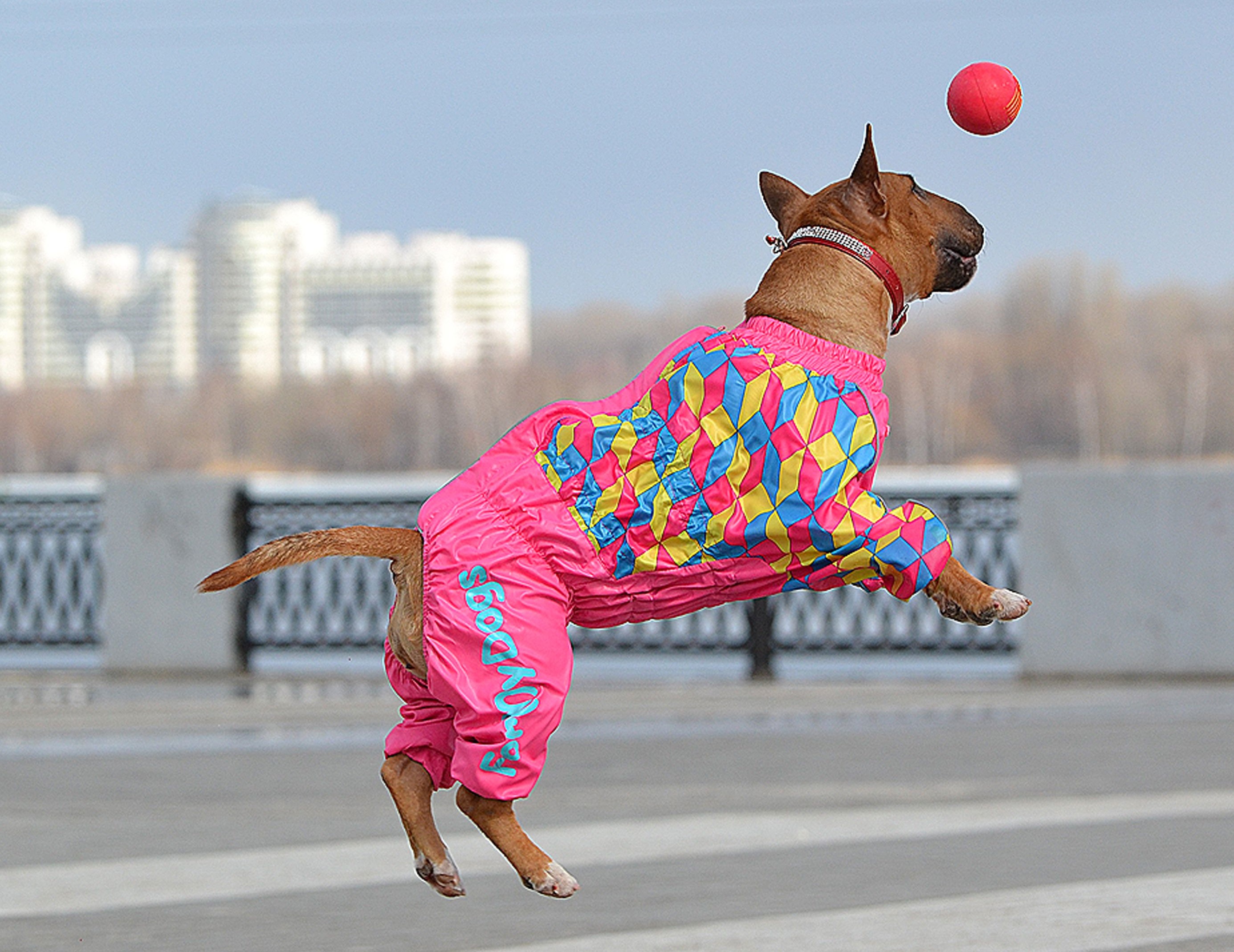 ���� �� 10.12. ����� ������� ������, ����� � ���������� ��� �����. ��� ����� �������� - ������ ������. ���� ����������.