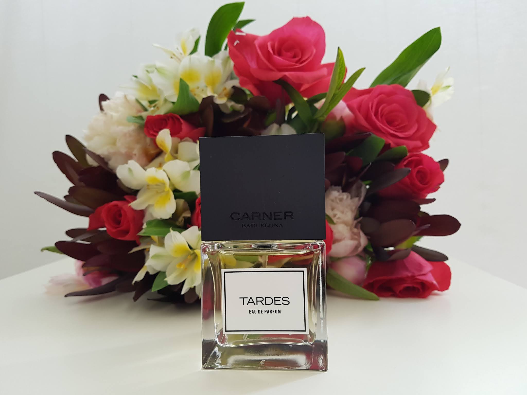 ������ ������� � ��������� ��������! �������� ������!)