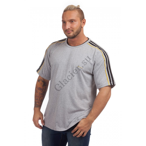 �������� ����� �������� ��������� ��������