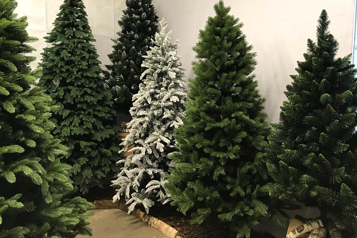 ���� �� 11.12. ���� � �������, ��� � ����. ����! ����! ��� �������. ������� � �����. ������� 14 �������.