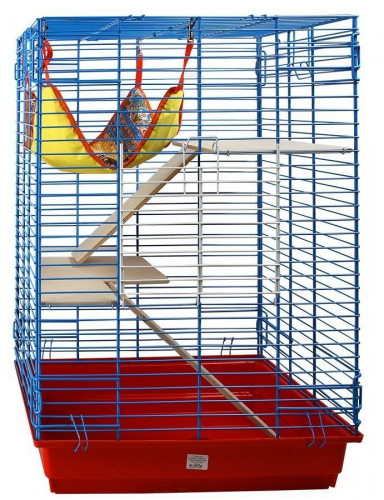 ������ ��� �������� � ����. ��������������. ������� 28.12.2020