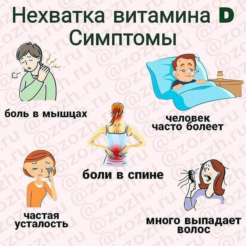 �������� �������� D 