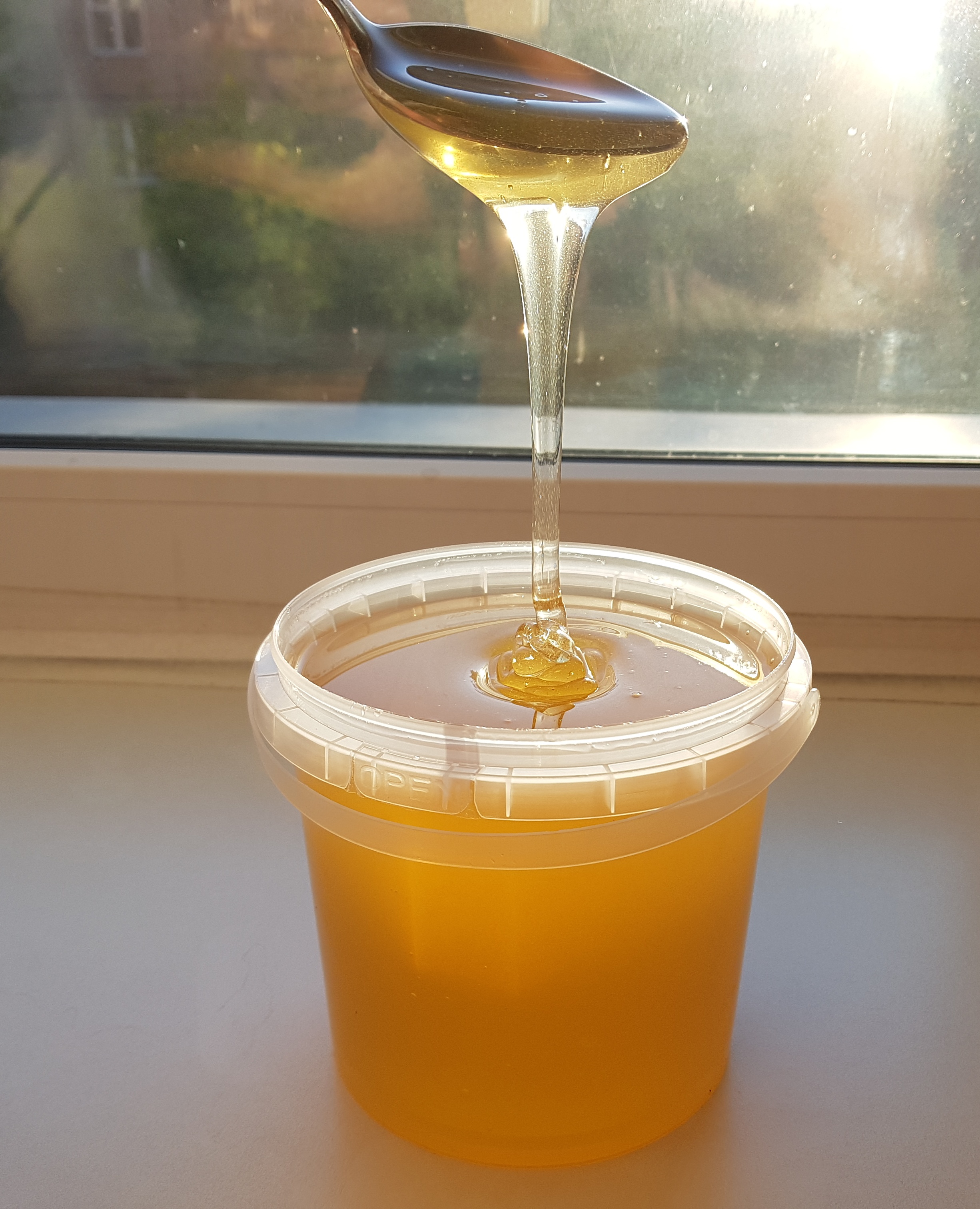 ��� � ������� ������, ������, ͣ� � �����-������ 2020 �.