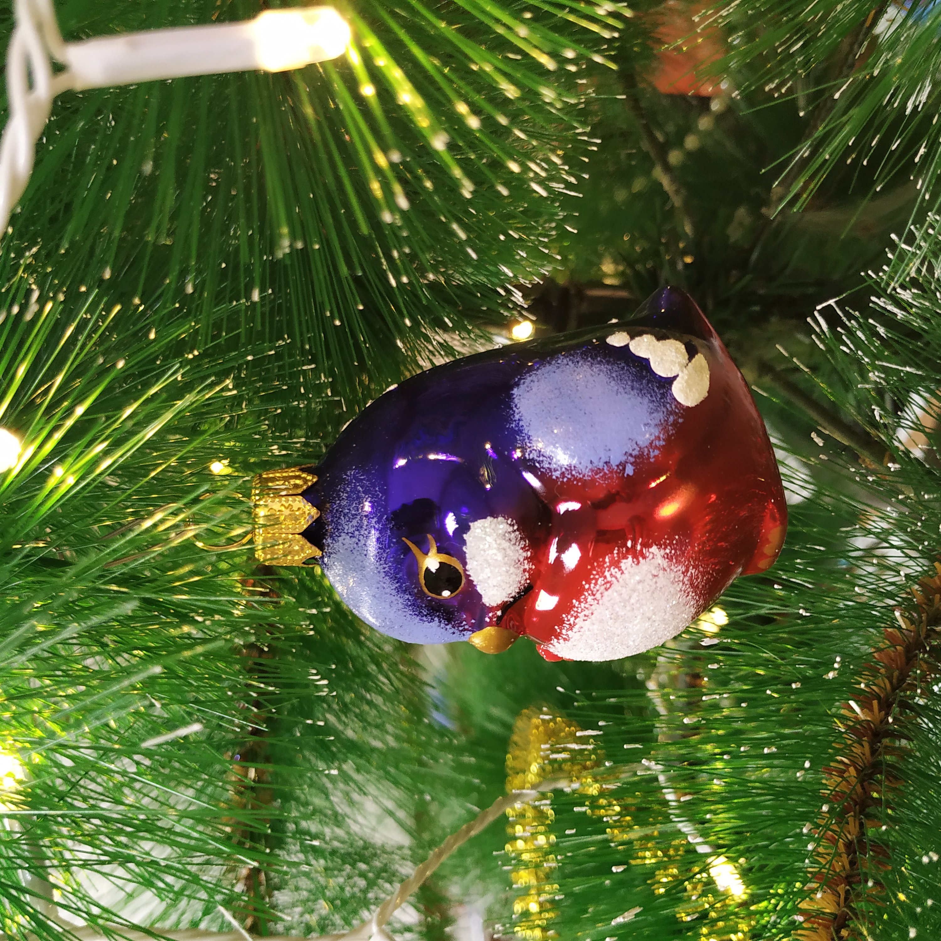 ���� �����