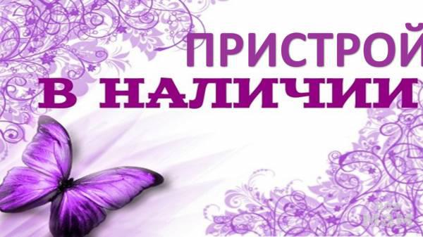 ������� ������! ���� ��������� �������� �� ����� ����. ������� 25.12