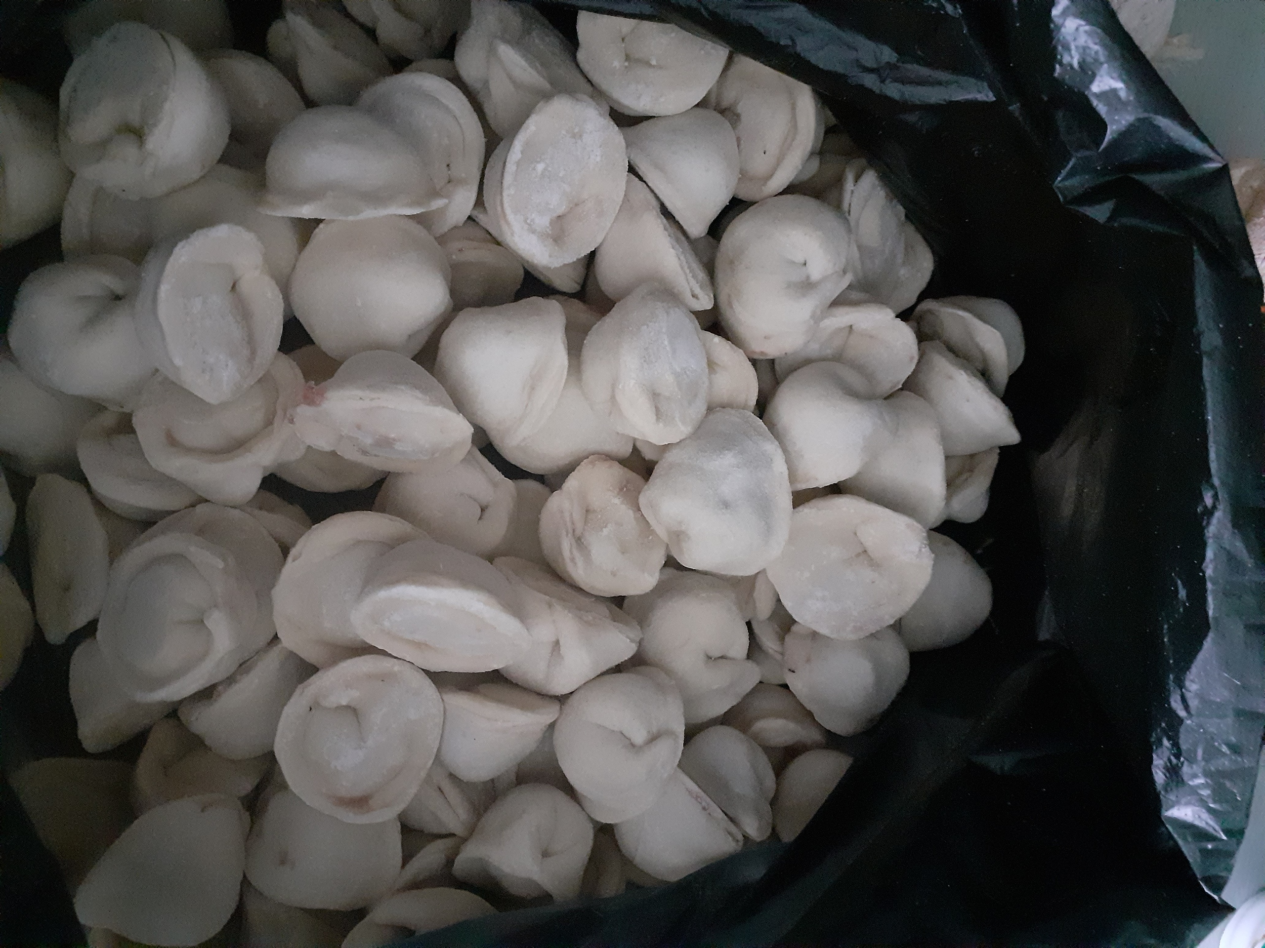 ���� 23.12. ���� �������. �������� �������������, ������ ������, �������, ����������