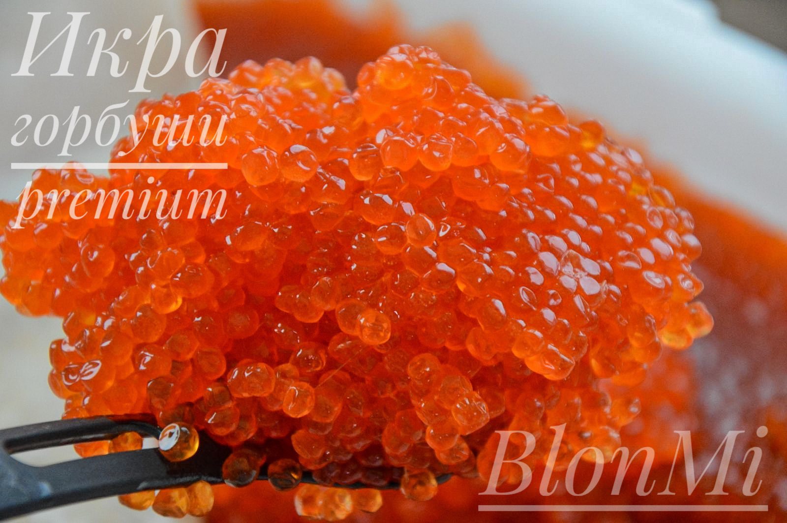 ���������� ������� ���� ����, ������, �������. ���� ������ �� ������� ��� ������������ (��������� 23.12.20). ������� � �� 29.12 � 30.12. ������� �� ������ 31 �������