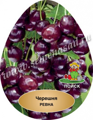 ������� ��������� - ����� � �����  - 240 ���!