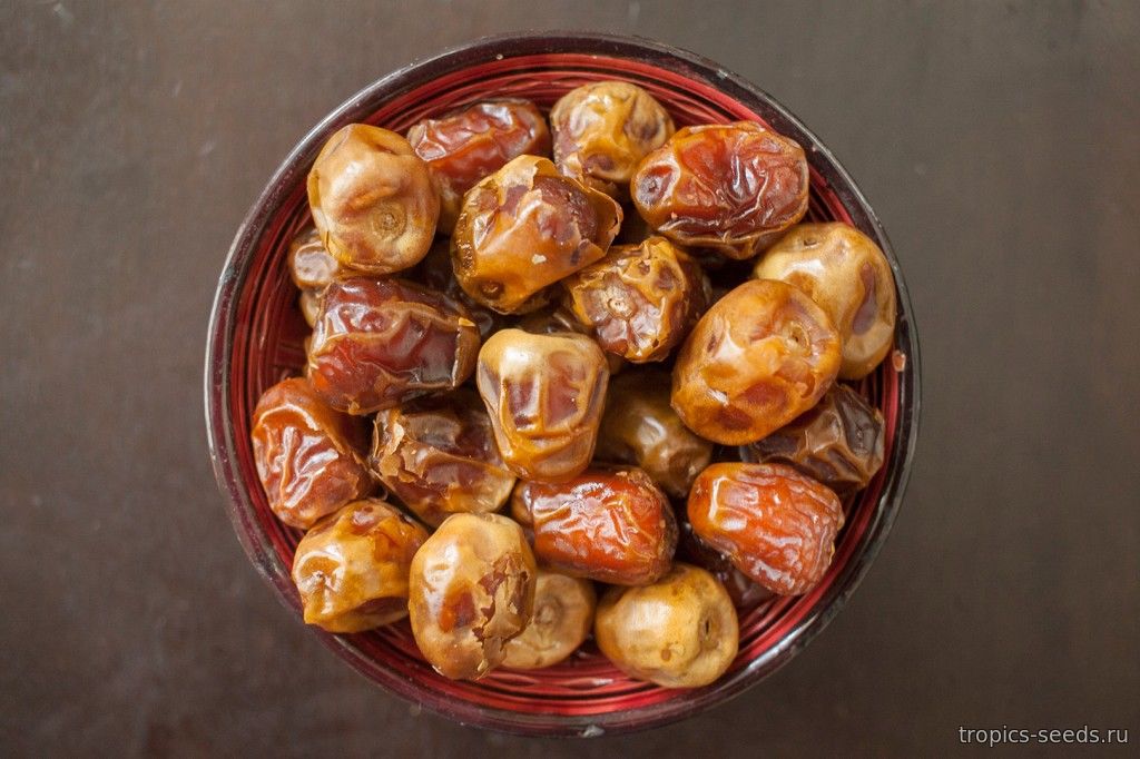 ������� � ����������! ������ � �������� � �������� (������� �������! ���� � �������), �����-�����, ���� � ����� � ��������. �������� ��������� ������ �������. � ���� ����� ��������������  