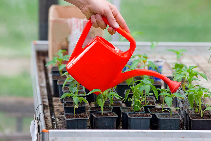 ��� ��������! �ӣ ��� ������� � �������� ��������! ���������, ���������, ���������, �������� ��������, ����. ��������, ��������� �����, ������, ��������� �������, �����, ����� � ��.