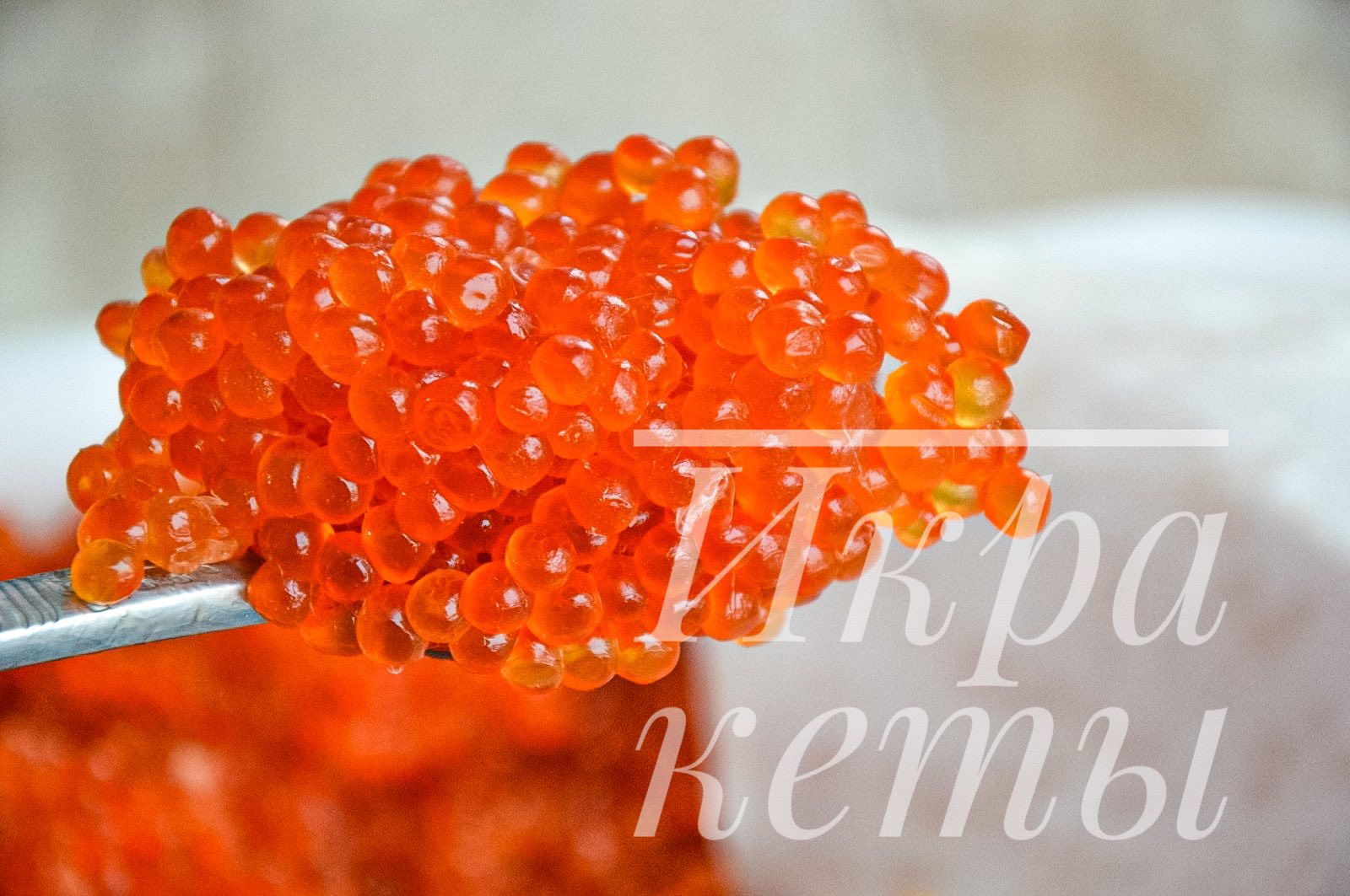 ������� � �������� �� ���� ��� . � �� 28�� ����ڣ�, �� ������ � ������ ����� ������� 31 ������� , �� ���� � ��������� ���� ������)