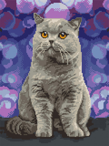 ���� �������. �������� �������: ������� �� 165� ������� �� 132�. ������� ��������, ������������ ������ 17/20