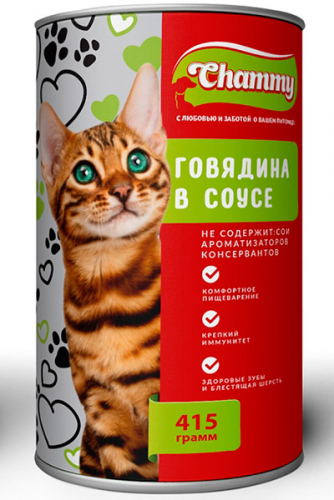 [b]���� �������.������������ �������� ������� ��� �������� �������� Chammy -��������� ����� ������������ ��������� ���������� � ����������, ����� �������� �������� . �����22[/b]