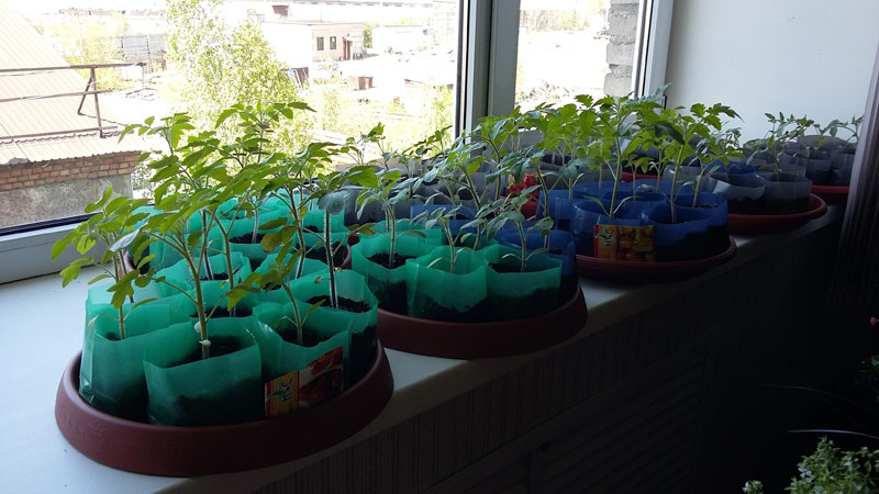 [b]���� �������. ������ ��� �������.������ ����������� �� �������� ������������������� �����������. �� ������������� .[/b]