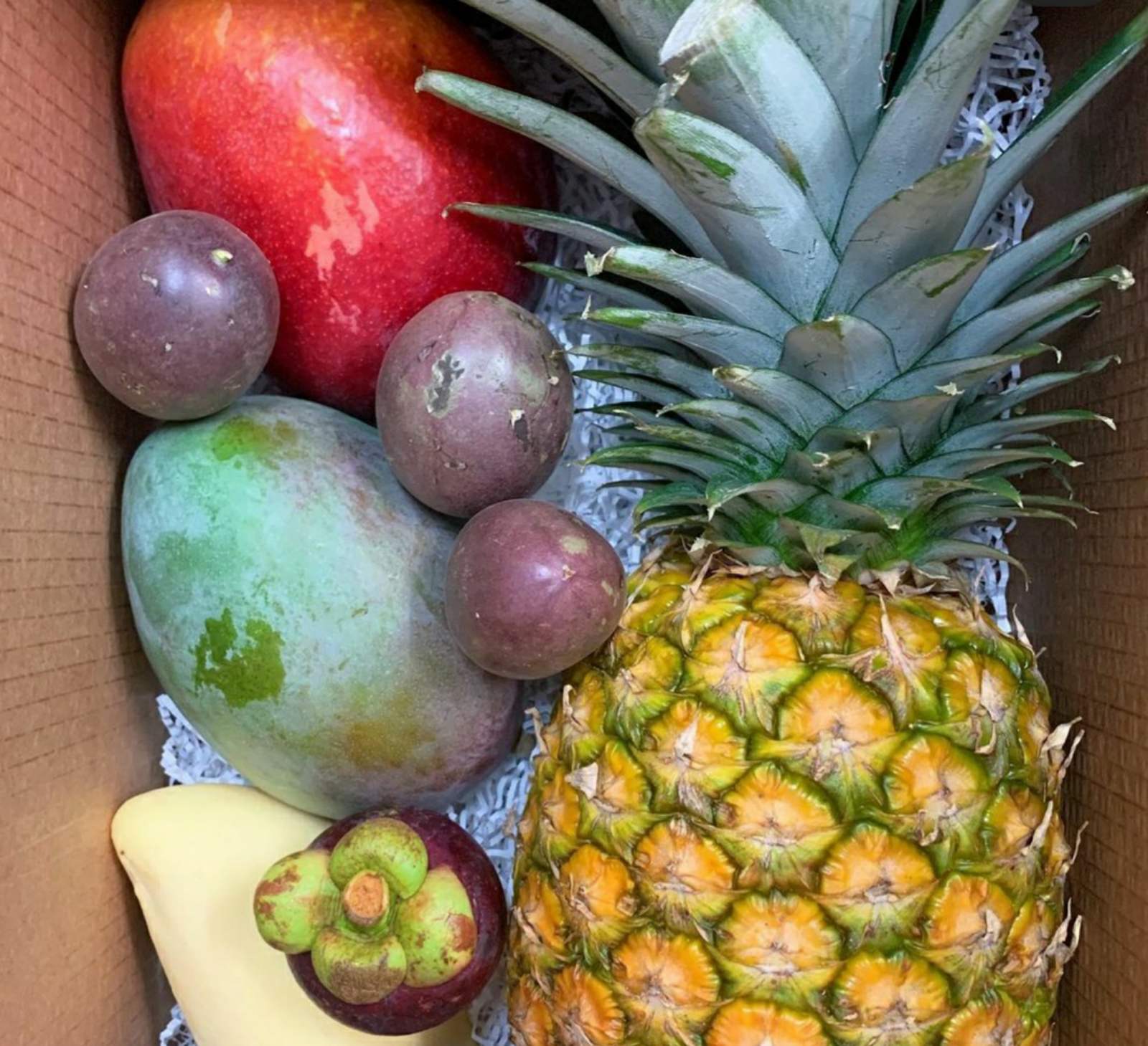 ���� ������� �� 15.01. ����� � ������. �������, ������, ������ ������������ ������.