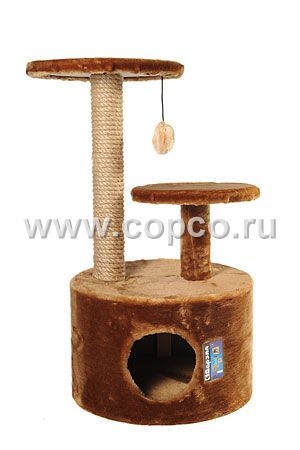 ������ ��� ����� � �����. ������� 10.02.2021