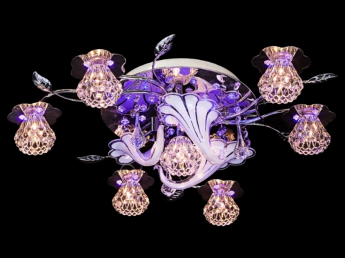 ���� ������� �� 12.02. ���������� ������, �����, �������, ��� �� �������� ���������� "Lam**pa".-19