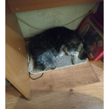 ������������� ������ � ����������. ��� �� ���������� :)