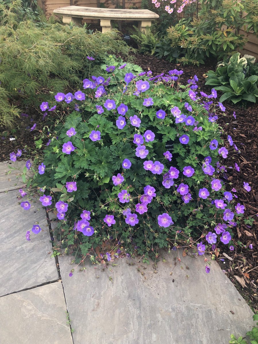 ���� �� 31.01.21 ������������ �� ��������*���� ������*���� ��������� - ������������, ������, ������. ��������� �� ����� ��� 2021-����� 2