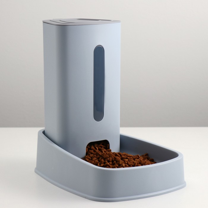 ���� �������. � ������� � ����� �������� - 4. ���������. ���������, ����������, �����, �������, ���������, �����������, ������� � ������ ������