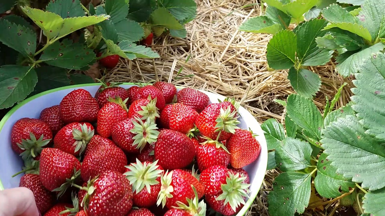 ���� �������. 14.02 �������� ����� ����������� ��������! ������ � ������ ����� �� ������ �����! ��������� �� ���