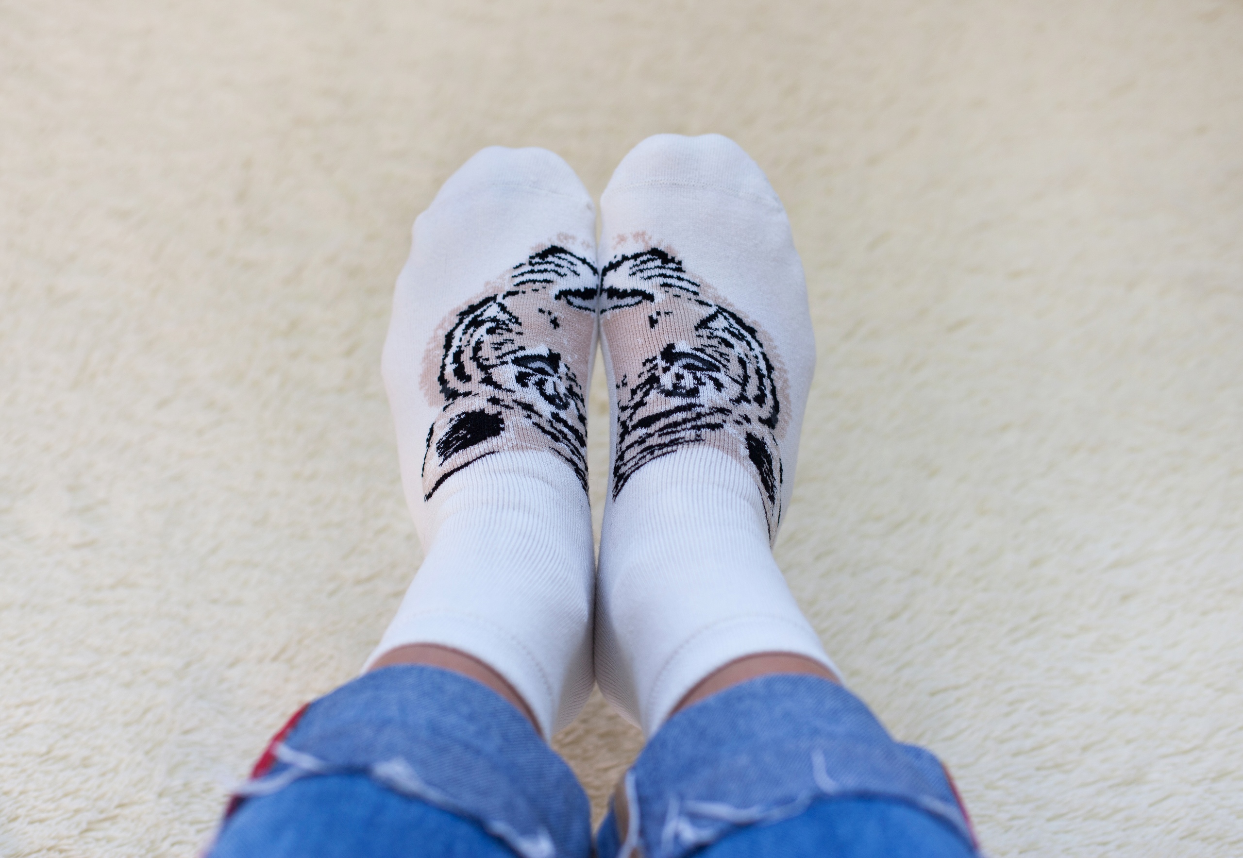 ������������� ������ ������ ��� ����������, ������ � ������. ���� �� 24�. �� ��������� ������