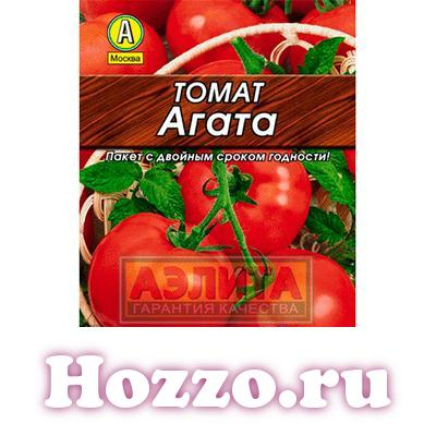 ����� ����� ������ �"�����"    ������� ����: 10 �