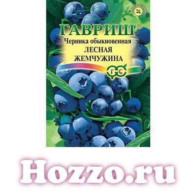 ������� ������ ��������� ������    ������� ����: 40 �