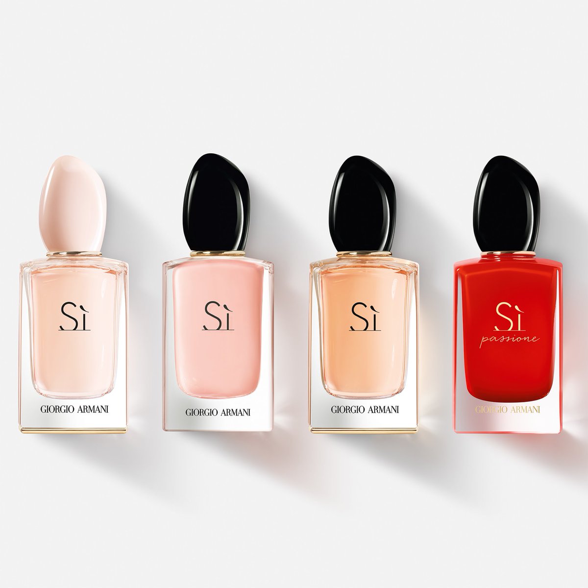 ���� �� 31.01. ����������, ��������� � �������� ����� ��������� �����. ������